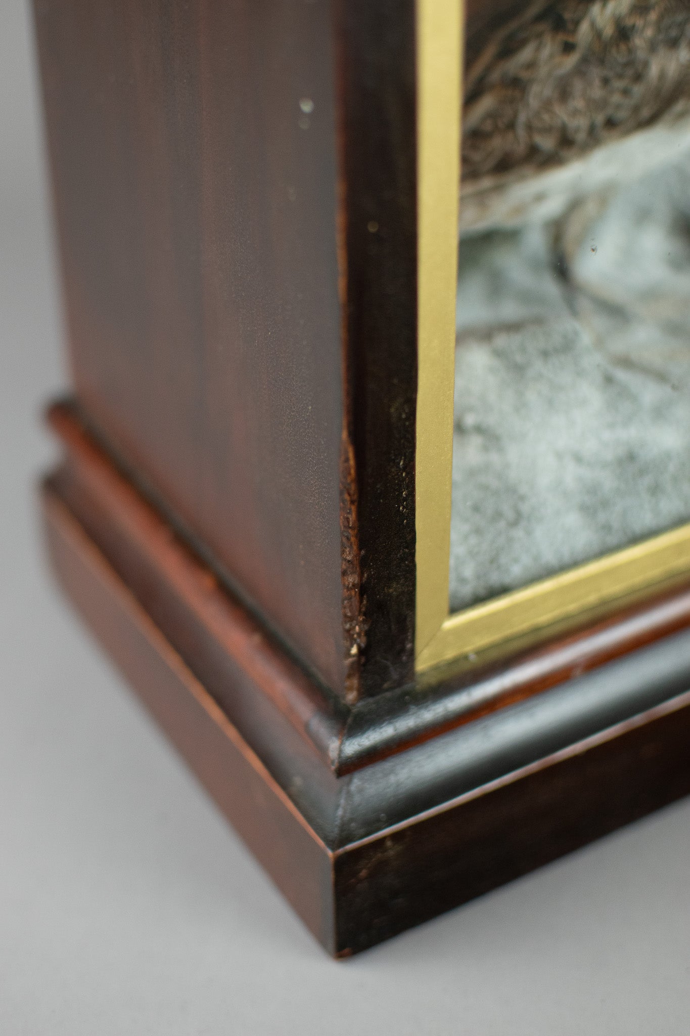A Victorian Taxidermy Cased Jack Snipe & European Robin Circa 1890s