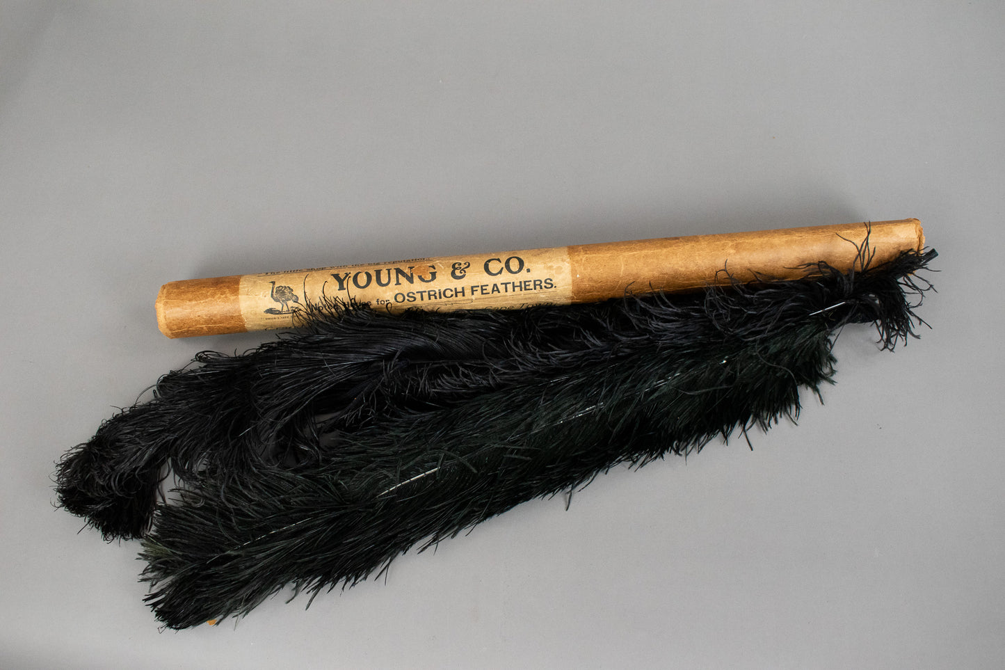 2 Extra Large Victorian Antique Black Ostrich Feathers in Original Packaging