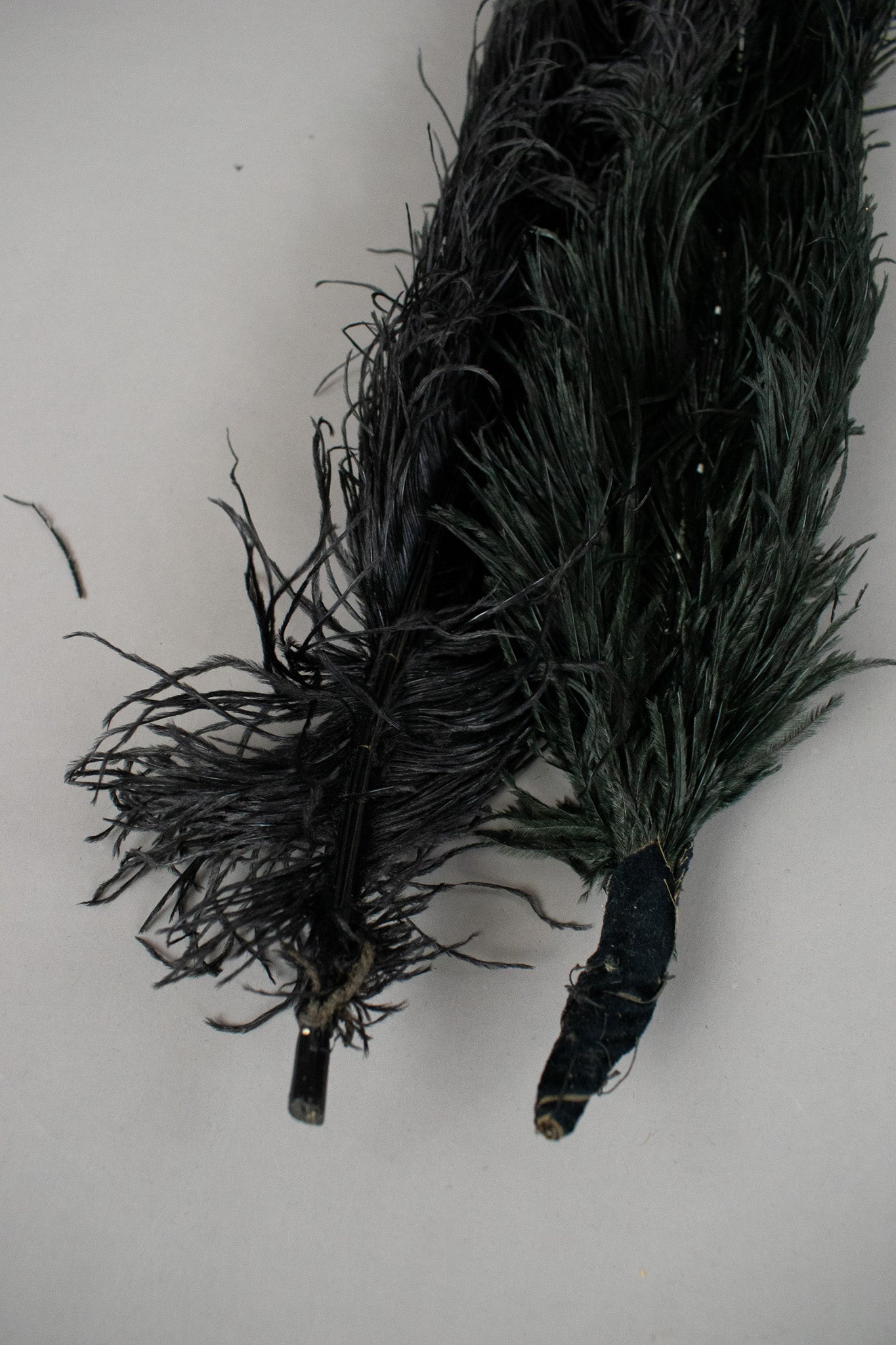 2 Extra Large Victorian Antique Black Ostrich Feathers in Original Packaging